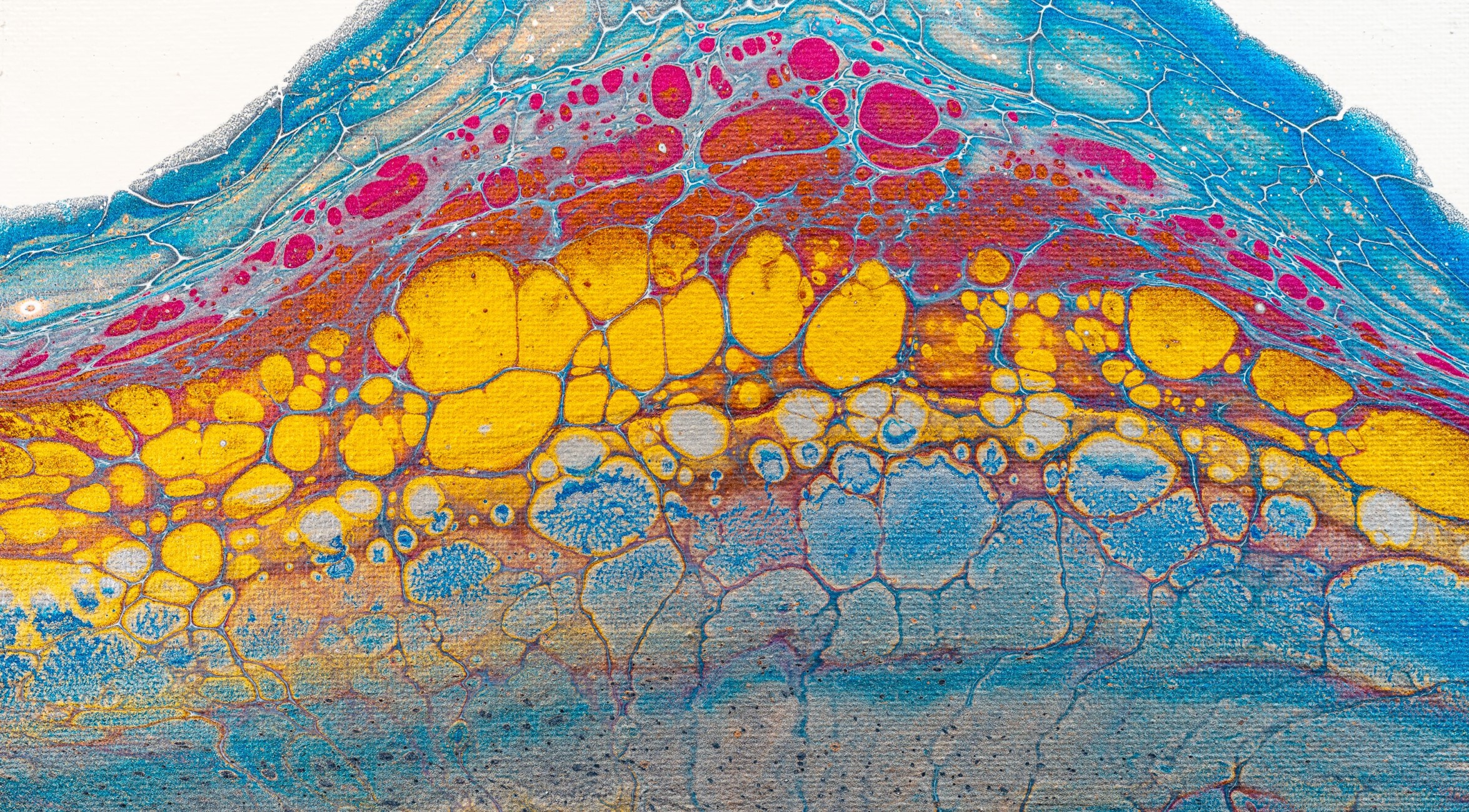 Cartilage cells close-up