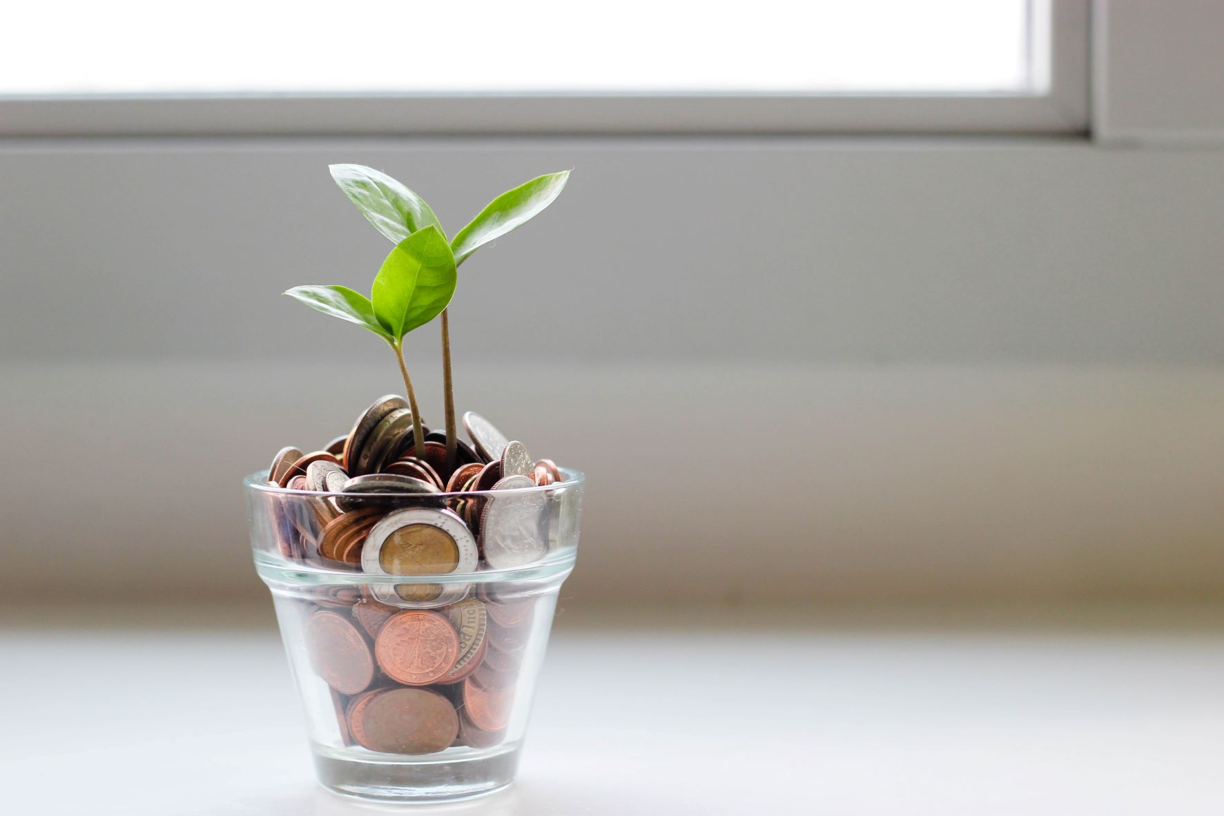 Plant growing through a pot of coins in a clear jar