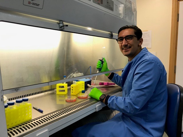 Photograph of Hamez - wearing a blue lab coat and black-rimmed glasses - sitting at a fume hood and smiling. He is pipetting something into various petri dishes.